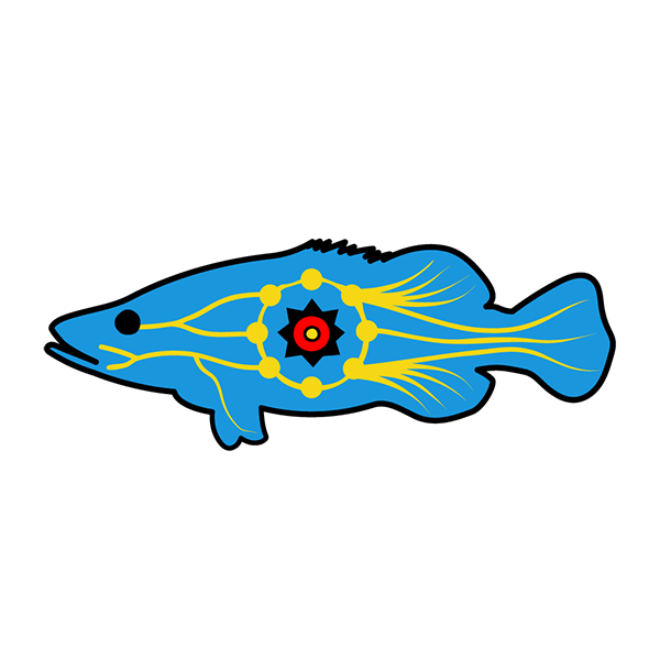 Aboriginal Rangers